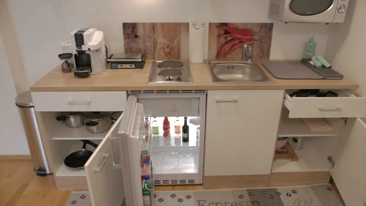 Niki Apartment 비엔나