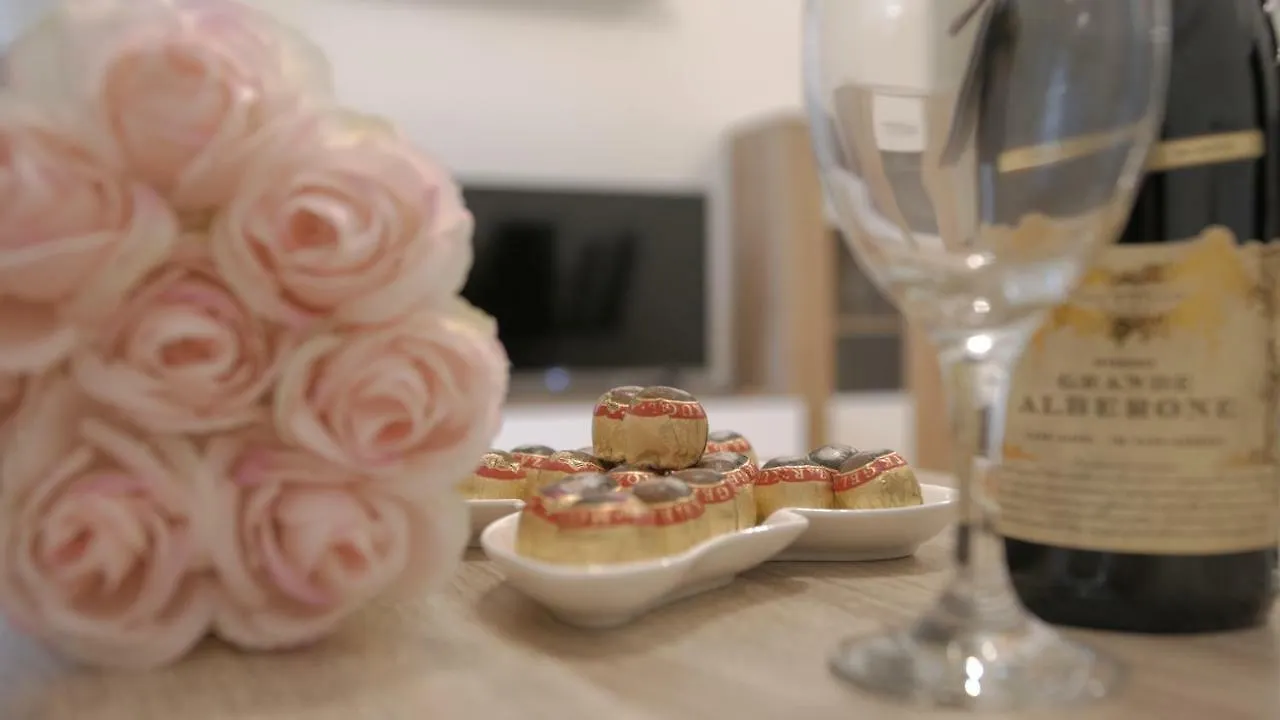 Niki Apartment فيينا